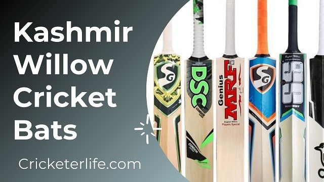 Kashmir Willow Cricket Bats – Cricketer Life
